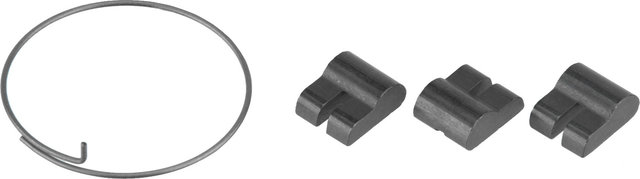 Fulcrum Cliquets R0-022X pour Corps de Roue Libre Route en Acier - universal