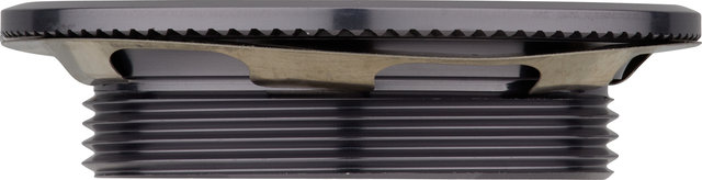 Campagnolo Anillo de bloqueo 12 velocidades - plata