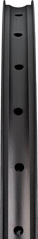 DT Swiss XM 481 Disc 29" Felge - schwarz/32/29"