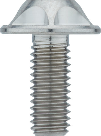 SILCA Titanium Bottle Cage Bolts Torx - titanium