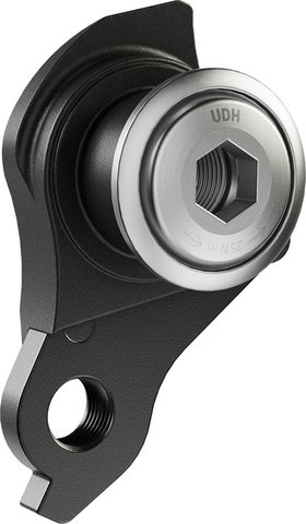 SRAM UDH Derailleur Hanger - silver
