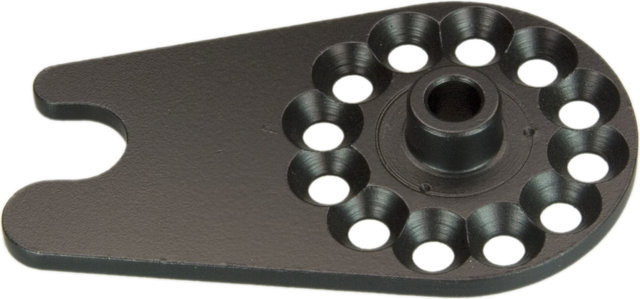 Rohloff CC OEM2 Axle Plate - universal