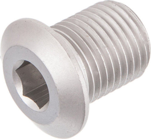 Syntace SCS II Bolt - silver