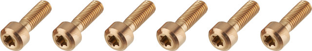 OAK Components Titanium Bolts for Eternal Stem - copper