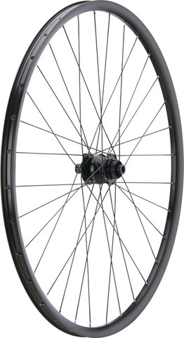 bc basic Alfine Disc Center Lock P-22 28" 11-Gang Laufrad - schwarz/28" VR 12x100 Dynamo