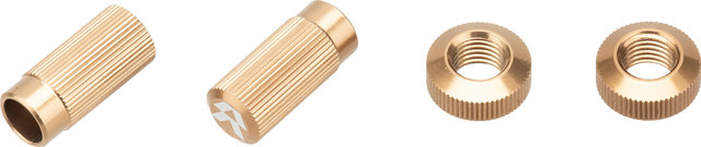 Reserve Fillmore Cap Kit-farbige Ventilkappen - gold