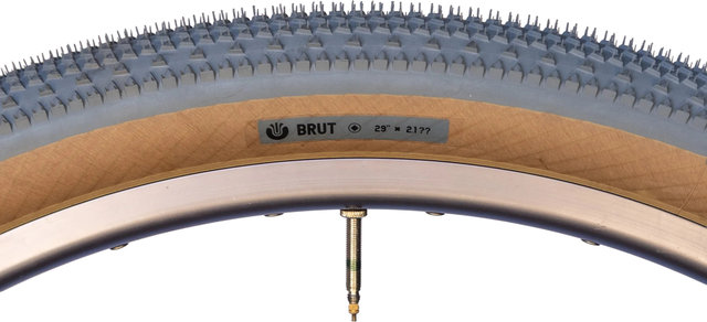 Ultradynamico Cubierta plegable BRUT Rozzo 29" - grey | 54 mm | 29 | 53-622