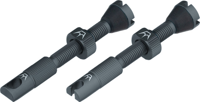 Peaty's Chris King Edition MK2 Tubeless Ventil 2er-Set - slate/SV 42 mm