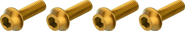 Wolf Tooth Components Tornillos para portabotellas - gold