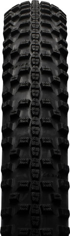 Schwalbe Cubierta plegable Smart Sam Performance ADDIX RaceGuard DD 29+ - classic-skin/29 /65 /65-622/2.6 