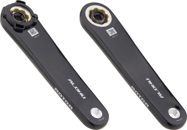 Rotor Manivelle de capteur de puissance INspider ALDHU Carbone Oval Q-Rings - noir/170,0 mm