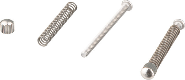 Surly Dropout Bolts for Cross Check - silver