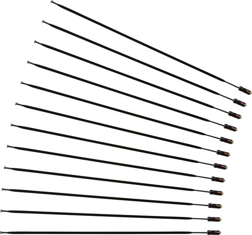 Mavic Ksyrium Elite Allroad / Allroad Elite Disc Spare Spokes - as of 2017 - black/296 mm