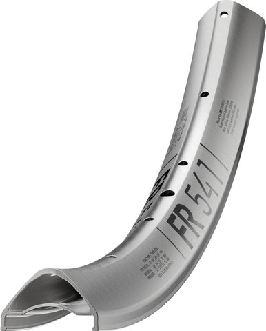DT Swiss Jante FR 541 DB 29" - argenté | 32 | 29"