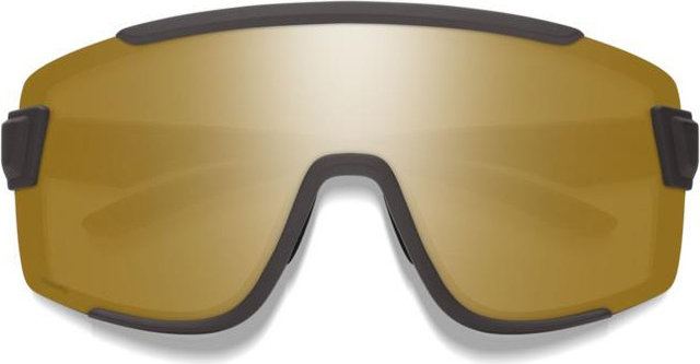 Smith Wildcat Sports Glasses - matte gravy