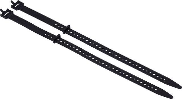 BBB CargoStraps Befestigungsgurte - schwarz/L