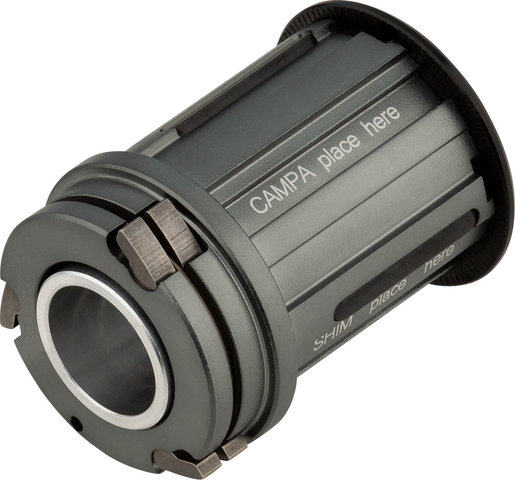 Wahoo Freilaufkörper für KICKR V5, KICKR18 und Core - universal/Campagnolo
