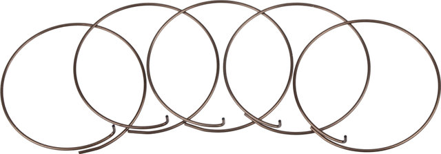 Fulcrum Sperrklinkenfedern 5-RM0-005 für MTB Freilaufkörper - universal