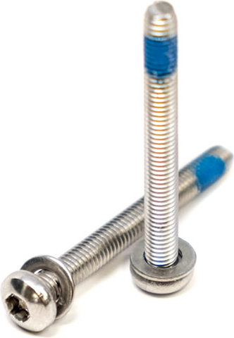 PAUL Vis de fixation Flat Mount arriere - silver | 20 mm
