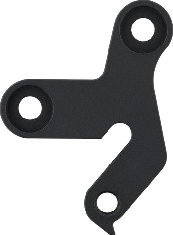 Santa Cruz Schaltauge für V10 - universal/Typ 2