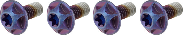 SILCA Titanium Bottle Cage Bolts Torx - purple