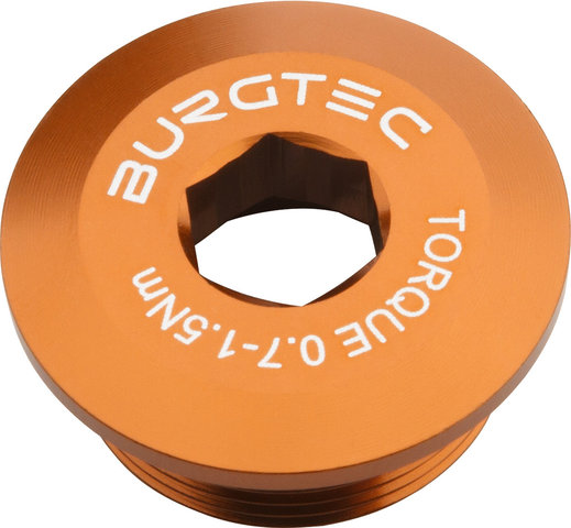 Burgtec Kurbelarmschraube für Shimano Hollowtech II/E-Bike Motor - kash bronze
