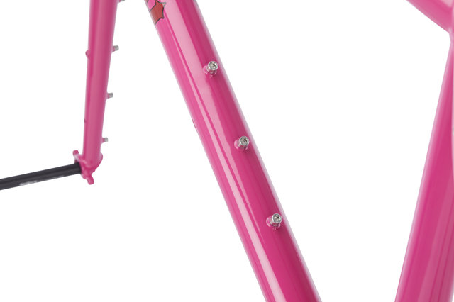 Surly Krampus 29+ Rahmenkit - prickly pear/L