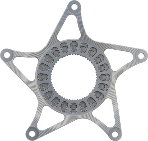 absoluteBLACK Étoile de Plateau E-Bike pour Shimano STEPS - titanium