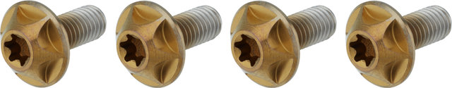 SILCA Titanium Bottle Cage Bolts Torx - bourbon