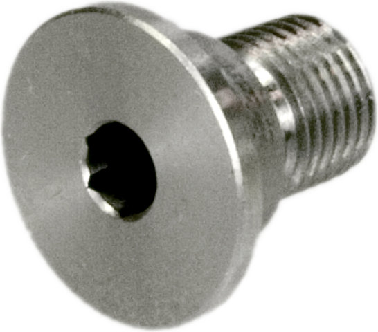 Rohloff Tornillo de cuadro para tensor de cadena - universal