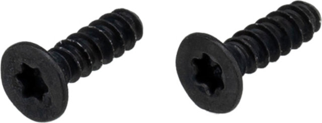 Racktime Screws for Shine Evo light - black