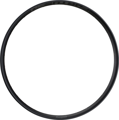 Hope Fortus 30 Disc 29" Felge - black/32/29"