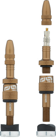 e*thirteen Valve Tubeless Quick Fill - 2 pièces - bronze/SV 16-24 mm