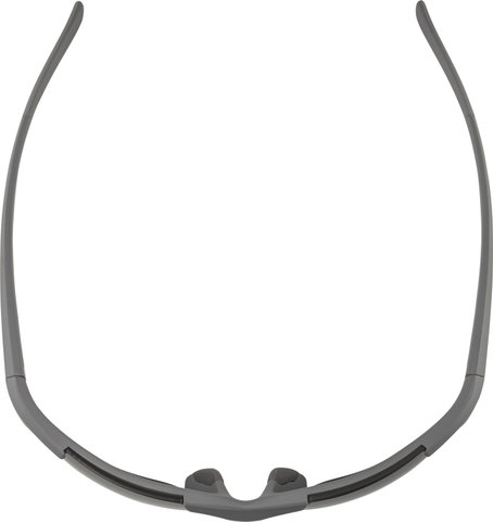 Alpina Defey HR Sports Glasses - moon-grey matt | black