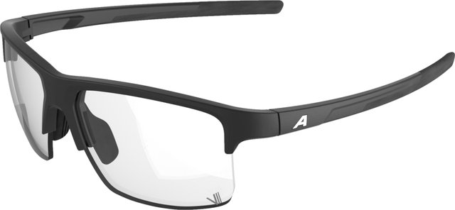Alpina Eagle V Sports Glasses - black matte | varioflex black