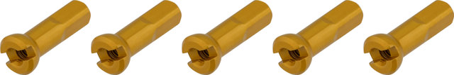Sapim Écrous Polyax en Aluminium - 5 pièces - gold