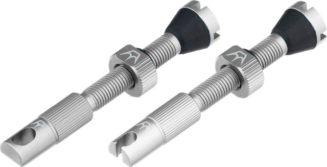 Peaty's Chris King Edition MK2 Tubeless Ventil 2er-Set - silver/SV 42 mm