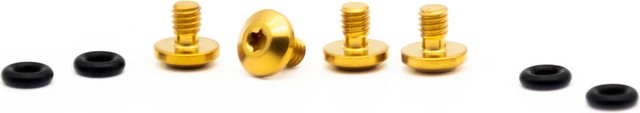 OAK Components Juego de tornillos de titanio para SRAM Bleedport Mineral Oil - gold