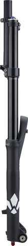 Formula Horquilla de suspensión Nero C Coil 29" Boost - negro/50 mm/29"/1 1/8"/eje pasante de 20 mm/110 mm/200 mm
