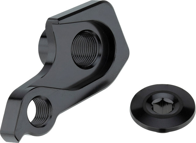 Santa Cruz Patte de Dérailleur pour Tallboy - universal
