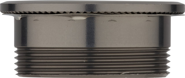 Campagnolo Verschlussring 13-fach - silber