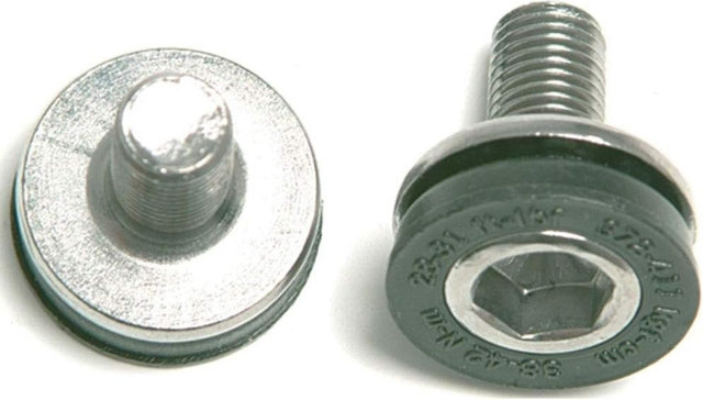 Truvativ Kurbelschraube M8 - silver | 18 mm