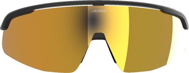 Alpina Turbo Pro Q Sportbrille - black matt | gold mirror