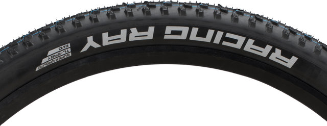 Schwalbe Racing Ray Evolution ADDIX SpeedGrip Super Ground 29" Folding Tyre - black/29 /57 mm/57-622/2.25 