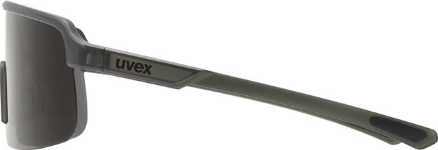 uvex dyrt Glasses - smoke matt | smoke