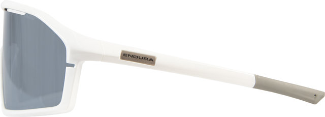 Endura Gabbro II Brille - white | blue revo