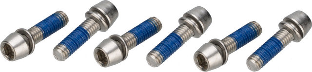 Ritchey Vorbauschrauben für WCS 4-Axis - silber/Stahl
