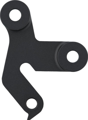 Santa Cruz Schaltauge für V10 - universal/Typ 2