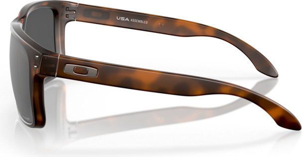 Oakley Lunettes de soleil Holbrook XL - matte brown tortoise | prizm black
