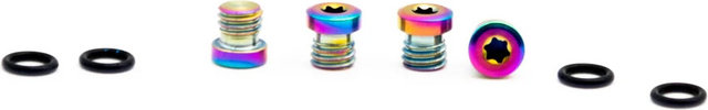 OAK Components Juego de tornillos de titanio para SRAM Bleedport DOT - oilslick
